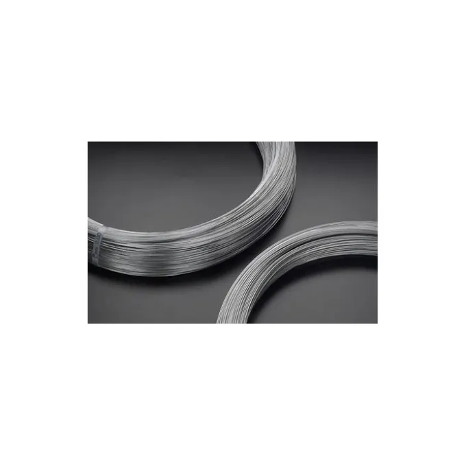 Baltix Bobina filo zincato, spessore 2,70 mm 100 mt