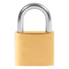 Baltix Lucchetto mm.50 arco normale