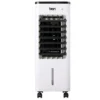 Bion Raffrescatore portatile spider 5 lt, 75w, 3 velocita', timer 4 h, 2 ice boxes incluse