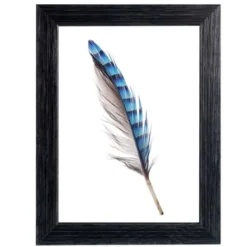 Far Portafoto newman, 20mm, 13x18 cm, colore nero