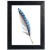 Far Portafoto newman, 20mm, 50x70 cm, colore nero