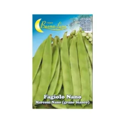Hortus Fagiolo nano marconi gr.biancogr.250
