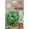 Hortus Semi basilico genovese disco preseminate