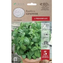 Hortus Semi basilico genovese disco preseminate