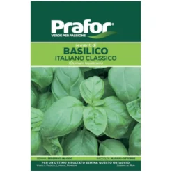 Hortus Semi di basilico genovese