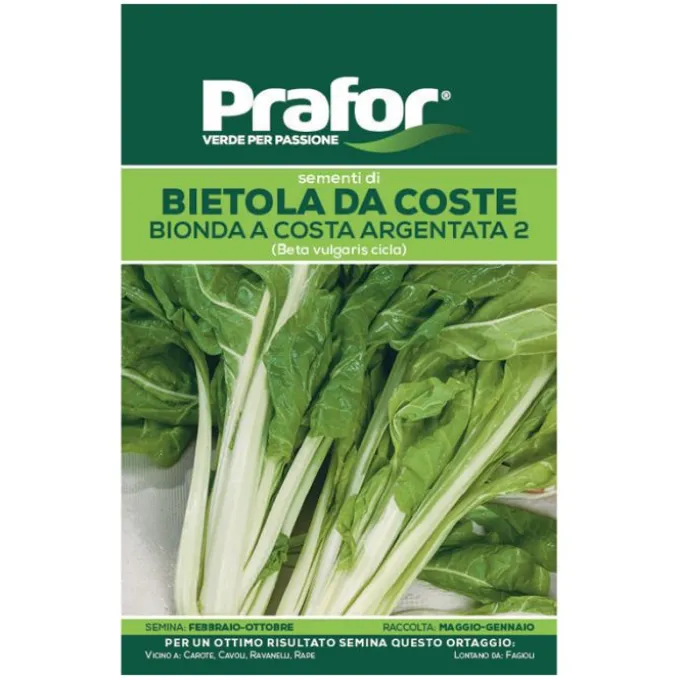 Hortus Semi di bietola bionda a costa argentata