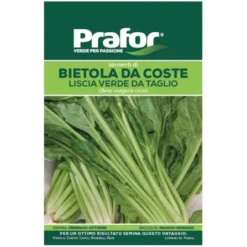 Hortus Semi prafor bietola liscia verde taglio bts