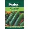 Hortus Semi prafor cetriolo marketmore bts