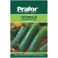 Hortus Semi prafor cetriolo marketmore bts