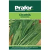 Hortus Semi prafor cicoria spadona bts