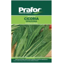 Hortus Semi prafor cicoria spadona bts