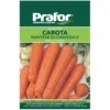 Hortus Semi prafor di carota nantese di chioggia