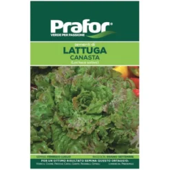 Hortus Semi prafor di lattuga canasta