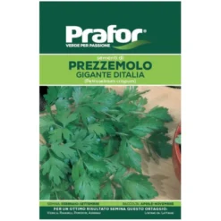 Hortus Semi prafor di prezzemolo gigante d'italia