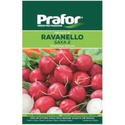 Hortus Semi prafor di ravanello saxa