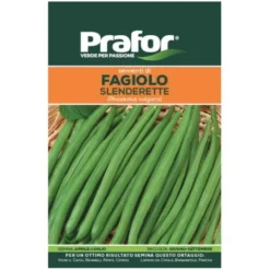 Hortus Semi prafor fagiolo nano slenderette bts
