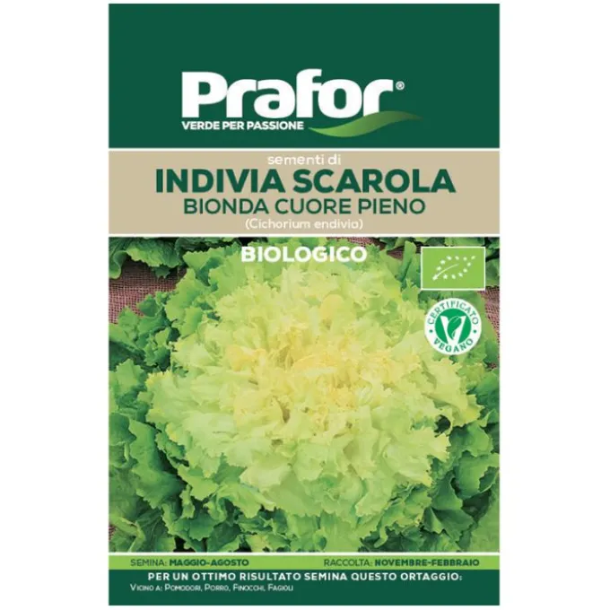 Hortus Semi prafor indivia scarola bionda cuore pieno bio