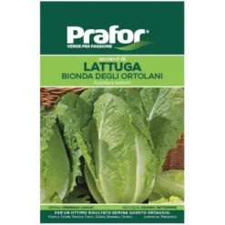 Hortus Semi prafor lattuga bionda ortolan