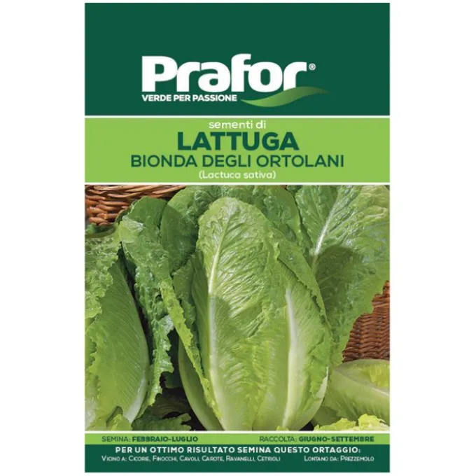 Hortus Semi prafor lattuga bionda ortolan
