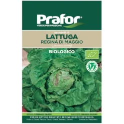 Hortus Semi prafor lattuga regina di maggio bio