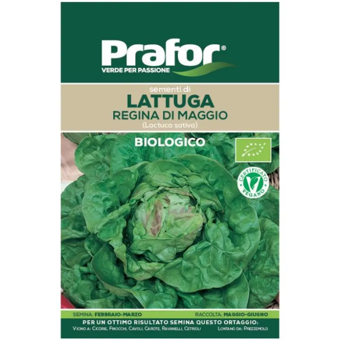 Hortus Semi prafor lattuga regina di maggio bio