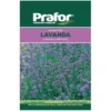 Hortus Semi prafor lavanda bts