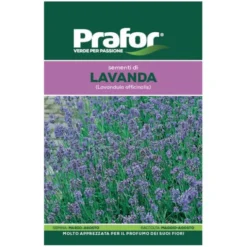 Hortus Semi prafor lavanda bts