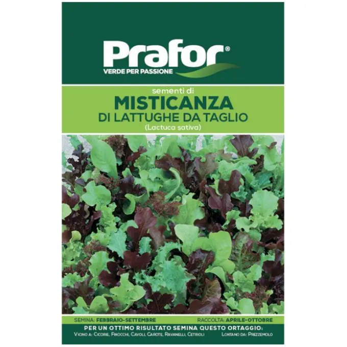 Hortus Semi prafor misticanza lattughe taglio r/b bts