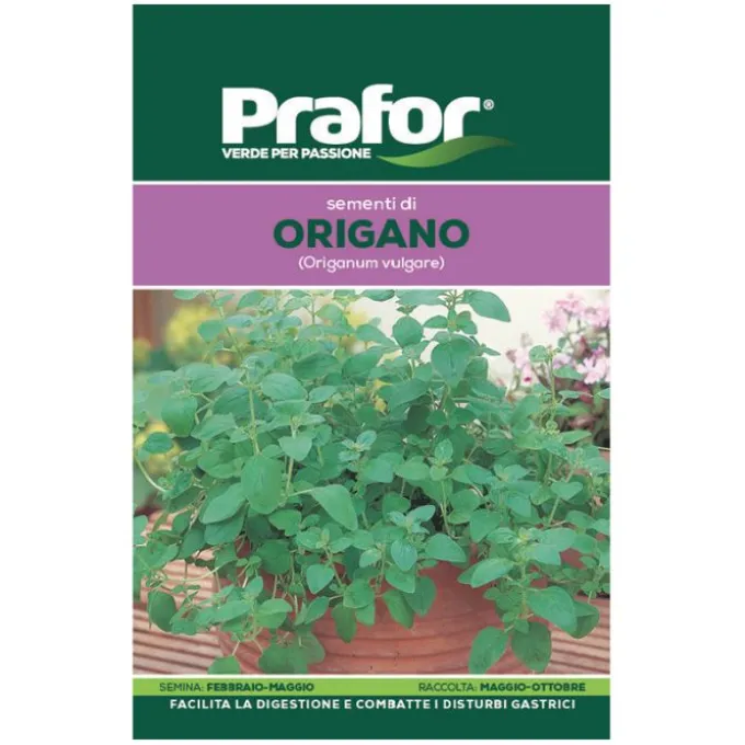 Hortus Semi prafor origano
