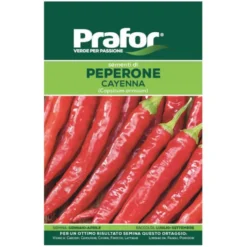 Hortus Semi prafor peperone cayenna