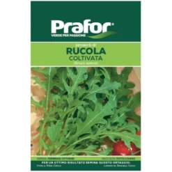 Hortus Semi prafor rucola coltivata bts