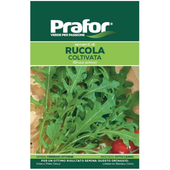 Hortus Semi prafor rucola coltivata bts