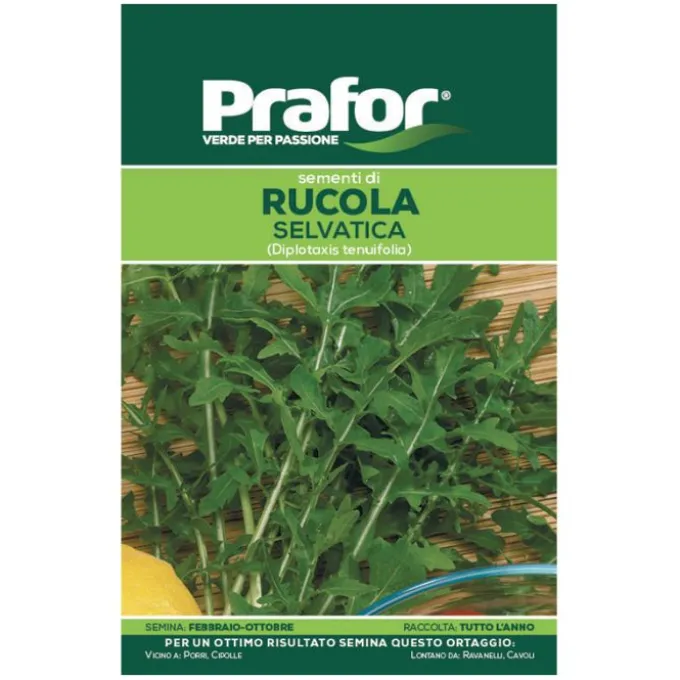 Hortus Semi prafor rucola selvatica bts