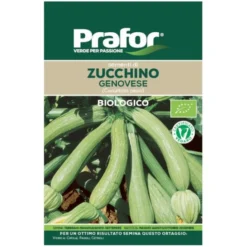 Hortus Semi prafor zucchino genovese bio
