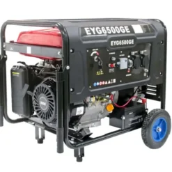 Newton Generatore di corrente Newton a motore - 4t - 5500w - 420cc