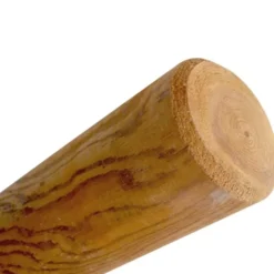 Prafor Palo tondo in legno impregnato con punta, Ø 6x120 cm