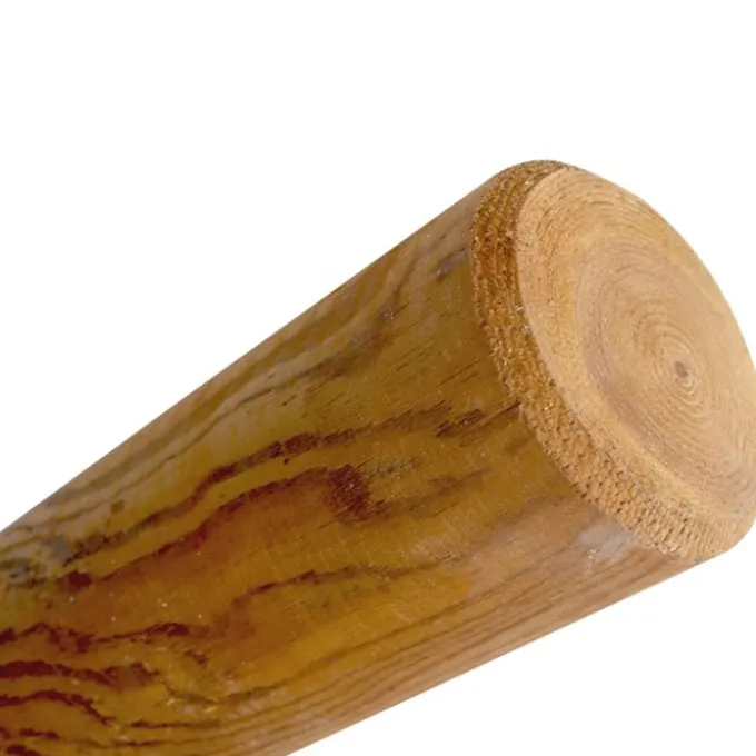 Prafor Palo tondo in legno impregnato con punta, Ø 6x120 cm