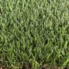 Prafor Tappeto erba sintetica 35mm 2x4m