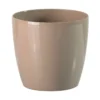 Tuscania Vaso stars, 10 cm, sand