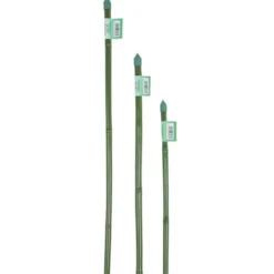 Verdemax Canna bamboo plastificata, Ø 1,2-1,4xh.150 cm, verde