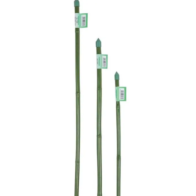 Verdemax Canna bamboo plastificata, Ø 1,2-1,4xh.150 cm, verde