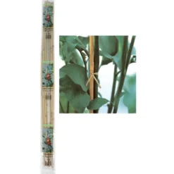 Verdemax Canna bamboo, Ø 1,6-1,8xh.210 cm, 2 pezzi