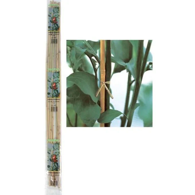 Verdemax Canna bamboo, Ø 1,6-1,8xh.210 cm, 2 pezzi
